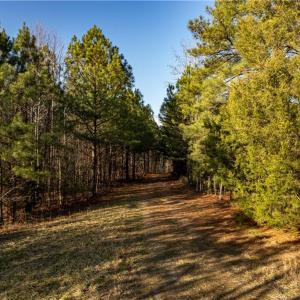 Photo #36 of 501 Racefield Drive, Toano, Virginia 130.0 acres