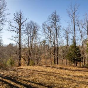 view from trail looking towards marsh
