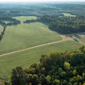 Photo #9 of 501 Racefield Drive, Toano, Virginia 130.0 acres
