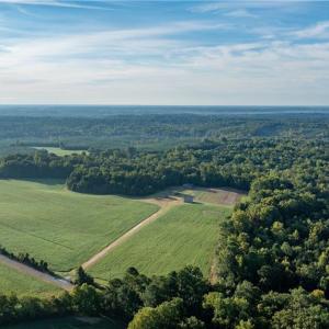 Photo #10 of 501 Racefield Drive, Toano, Virginia 130.0 acres