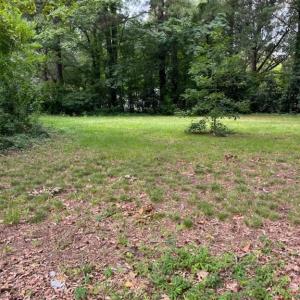 Photo #5 of SOLD property in 6060 Old Phillips Road, Norfolk, Virginia 0.4 acres