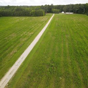 Photo #7 of 7368 Colonial Trail, Surry, Virginia 35.7 acres