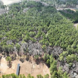 Photo #13 of 000 Jack Swamp Road, Pleasant Hill, North Carolina 13.3 acres