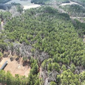Photo #14 of 000 Jack Swamp Road, Pleasant Hill, North Carolina 13.3 acres