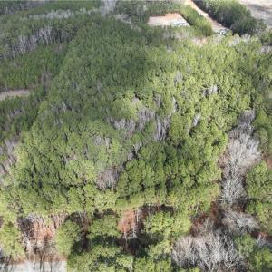 Photo #30 of 000 Jack Swamp Road, Pleasant Hill, North Carolina 13.3 acres