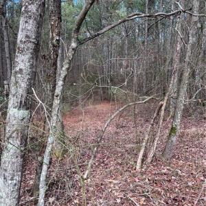 Photo #38 of 000 Jack Swamp Road, Pleasant Hill, North Carolina 13.3 acres