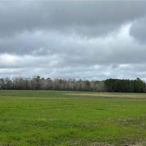 Photo #1 of SOLD property in 9260 Southwestern Boulevard, Suffolk, Virginia 27.0 acres