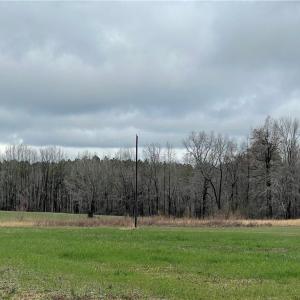 Photo #3 of SOLD property in 9260 Southwestern Boulevard, Suffolk, Virginia 27.0 acres