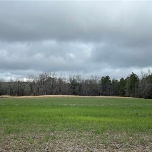 Photo #4 of SOLD property in 9260 Southwestern Boulevard, Suffolk, Virginia 27.0 acres