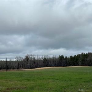 Photo #5 of SOLD property in 9260 Southwestern Boulevard, Suffolk, Virginia 27.0 acres