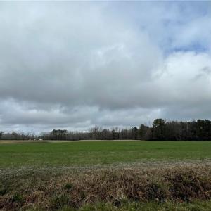 Photo #6 of SOLD property in 9260 Southwestern Boulevard, Suffolk, Virginia 27.0 acres