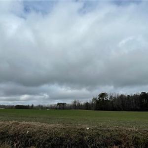 Photo #7 of SOLD property in 9260 Southwestern Boulevard, Suffolk, Virginia 27.0 acres
