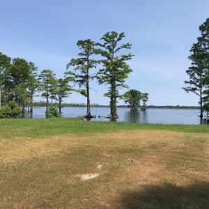 Photo #11 of 245 Cypress Road, Columbia, NC 0.6 acres