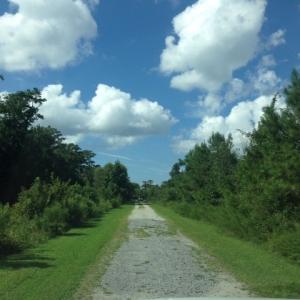 Photo #13 of 245 Cypress Road, Columbia, NC 0.6 acres