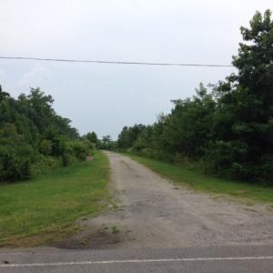 Photo #14 of 245 Cypress Road, Columbia, NC 0.6 acres