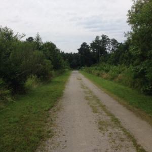 Photo #15 of 245 Cypress Road, Columbia, NC 0.6 acres