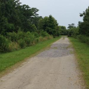 Photo #16 of 245 Cypress Road, Columbia, NC 0.6 acres