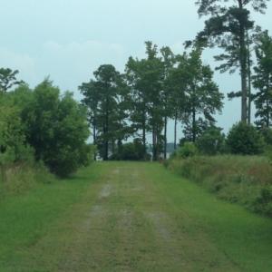 Photo #17 of 245 Cypress Road, Columbia, NC 0.6 acres
