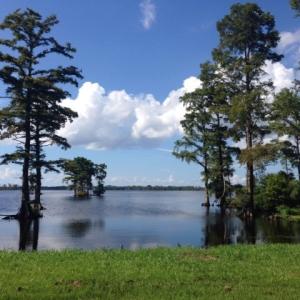 Photo #3 of 245 Cypress Road, Columbia, NC 0.6 acres