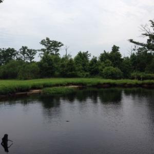 Photo #18 of 245 Cypress Road, Columbia, NC 0.6 acres
