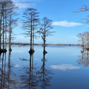 Photo #21 of 245 Cypress Road, Columbia, NC 0.6 acres