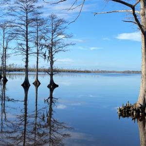 Photo #22 of 245 Cypress Road, Columbia, NC 0.6 acres