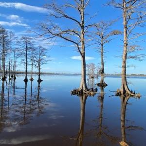 Photo #23 of 245 Cypress Road, Columbia, NC 0.6 acres