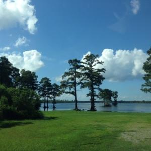 Photo #5 of 245 Cypress Road, Columbia, NC 0.6 acres