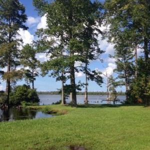 Photo #6 of 245 Cypress Road, Columbia, NC 0.6 acres