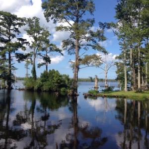 Photo #7 of 245 Cypress Road, Columbia, NC 0.6 acres
