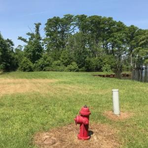 Photo #8 of 245 Cypress Road, Columbia, NC 0.6 acres