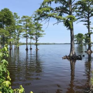 Photo #10 of 245 Cypress Road, Columbia, NC 0.6 acres
