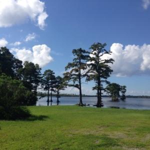 Photo #1 of 245 Cypress Road, Columbia, NC 0.6 acres