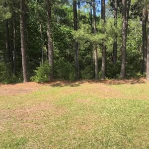 Photo #3 of 16010 Courthouse Highway, Smithfield, Virginia 4.9 acres