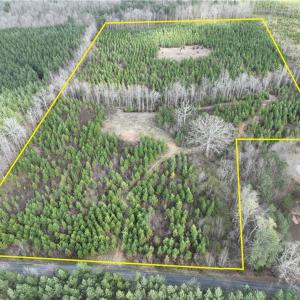 Photo #1 of SOLD property in 20+ac Masons Mill Road, Alberta, Virginia 20.8 acres