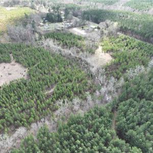 Photo #11 of SOLD property in 20+ac Masons Mill Road, Alberta, Virginia 20.8 acres