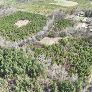 Photo #14 of SOLD property in 20+ac Masons Mill Road, Alberta, Virginia 20.8 acres