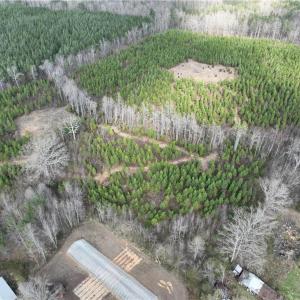 Photo #4 of SOLD property in 20+ac Masons Mill Road, Alberta, Virginia 20.8 acres