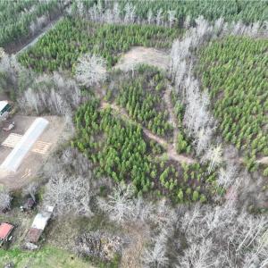Photo #5 of SOLD property in 20+ac Masons Mill Road, Alberta, Virginia 20.8 acres