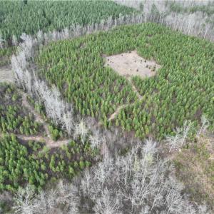 Photo #6 of SOLD property in 20+ac Masons Mill Road, Alberta, Virginia 20.8 acres