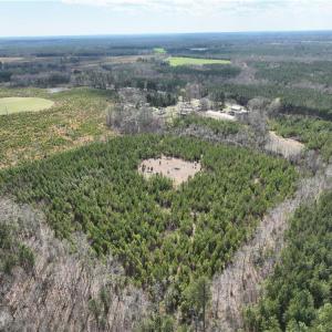 Photo #10 of SOLD property in 20+ac Masons Mill Road, Alberta, Virginia 20.8 acres