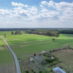 Photo #14 of 37 AC Deer Forest Road, Suffolk, Virginia 37.9 acres