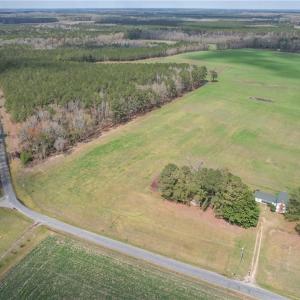 Photo #7 of 37 AC Deer Forest Road, Suffolk, Virginia 37.9 acres