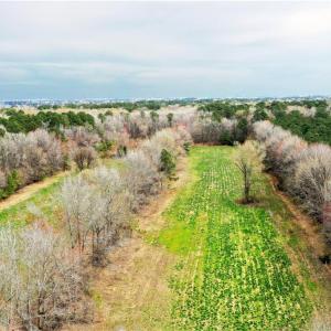 Photo #5 of 1073 Shillelagh Road, Chesapeake, Virginia 13.6 acres