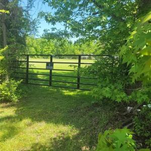 Photo #4 of 200 Hansford Lane, Seaford, Virginia 2.5 acres