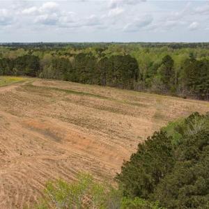 Photo #14 of 86 AC Holy Neck Road, Suffolk, Virginia 86.0 acres
