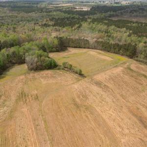 Photo #16 of 86 AC Holy Neck Road, Suffolk, Virginia 86.0 acres