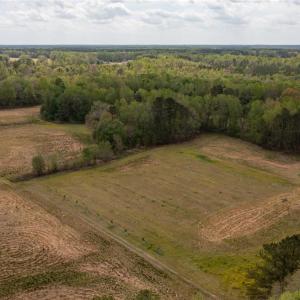 Photo #18 of 86 AC Holy Neck Road, Suffolk, Virginia 86.0 acres