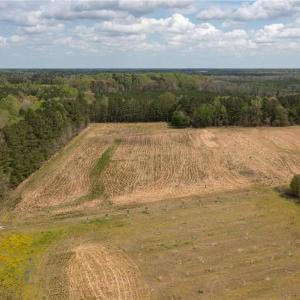 Photo #3 of 86 AC Holy Neck Road, Suffolk, Virginia 86.0 acres