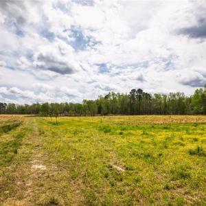 Photo #26 of 86 AC Holy Neck Road, Suffolk, Virginia 86.0 acres